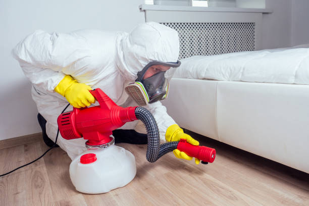 Best Emergency Pest Control  in Sixteen Mile Stand, OH