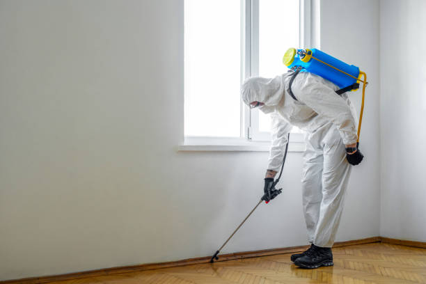 Best Flea Control Services  in Sixteen Mile Stand, OH