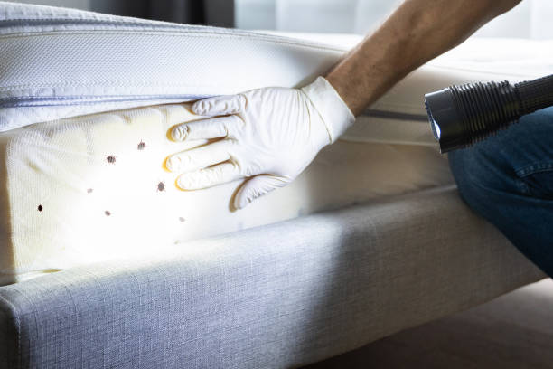 Best Local Pest Control Services  in Sixteen Mile Stand, OH