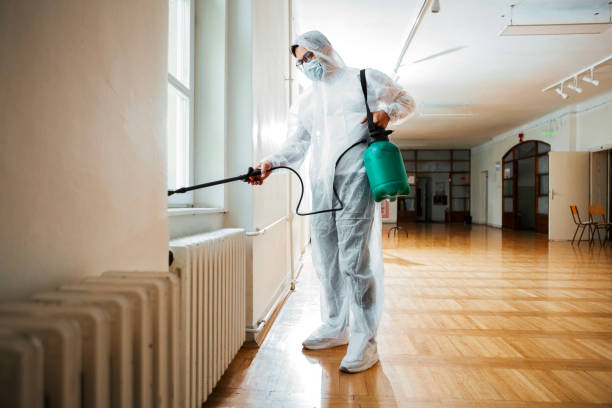 Best Wasp Removal Services  in Sixteen Mile Stand, OH